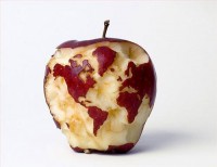 /album/el-azobejo/mapa-mundi-manzana-jpg/